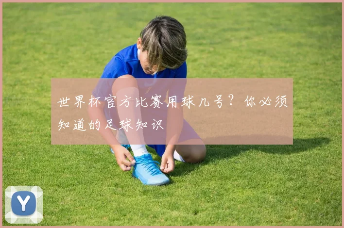 世界杯官方比赛用球几号？你必须知道的足球知识
