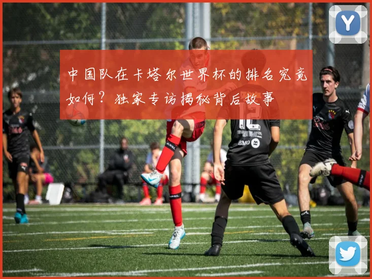 中国队在卡塔尔世界杯的排名究竟如何？独家专访揭秘背后故事