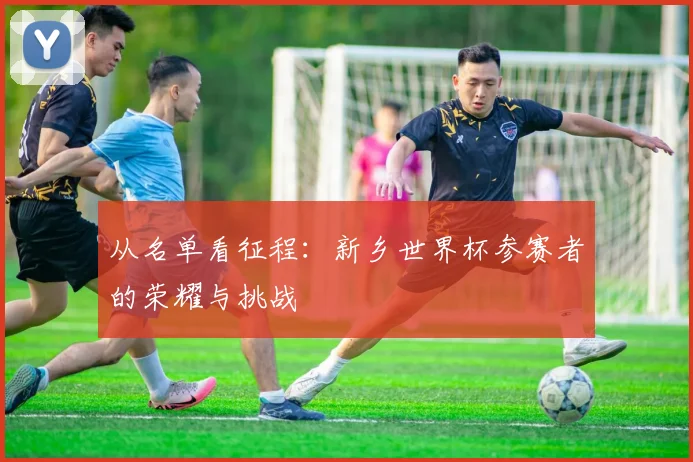 从名单看征程：新乡世界杯参赛者的荣耀与挑战